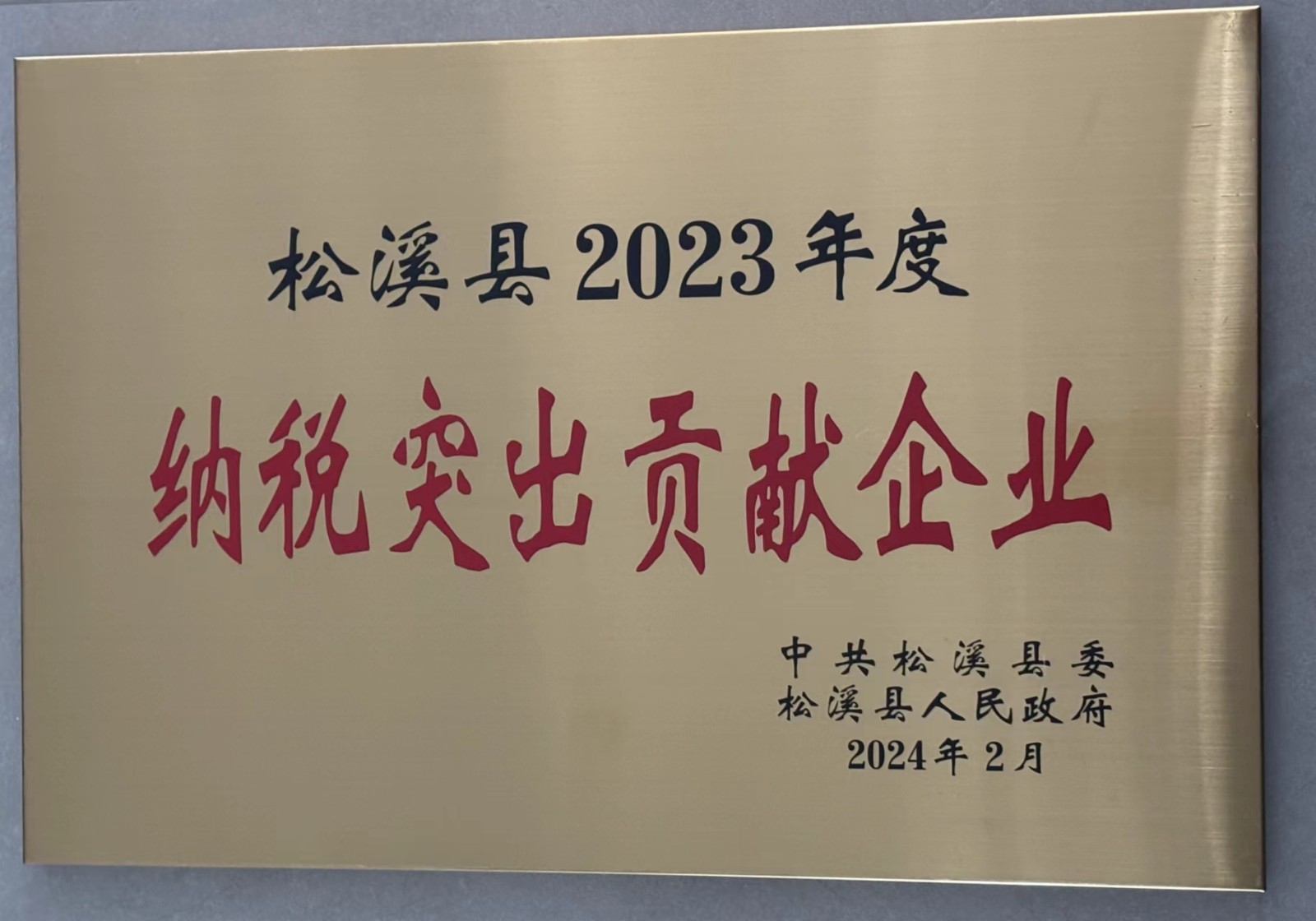 喜報！易順建工集團(tuán)榮獲“松溪縣2023年度納稅突出貢獻(xiàn)企業(yè)”稱號